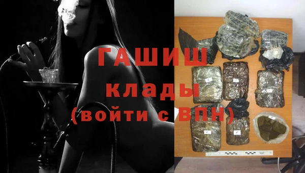 сатива Корсаков