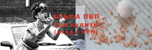 дживик Щигры