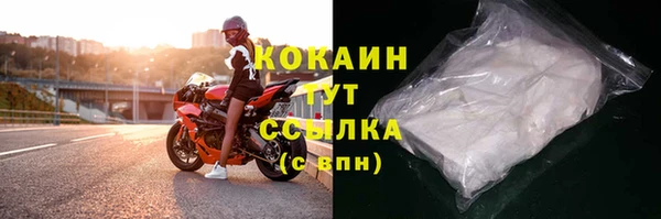 гидра Костерёво