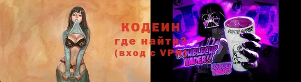 сатива Корсаков