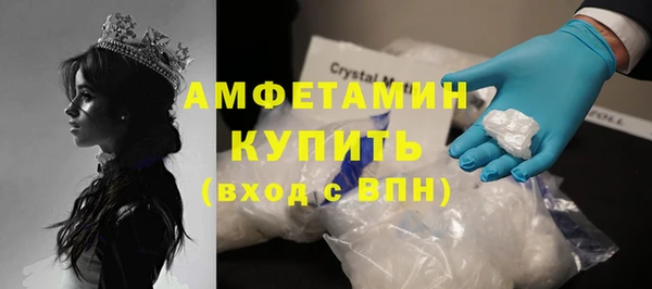 сатива Корсаков