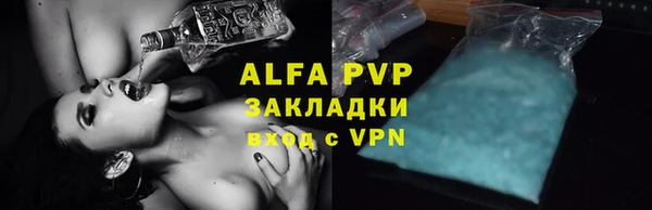 сатива Корсаков
