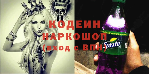сатива Корсаков