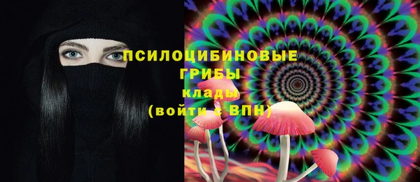 гидра Костерёво