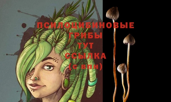 сатива Корсаков