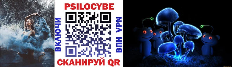 Галлюциногенные грибы Psilocybine cubensis  Купить  Людиново 