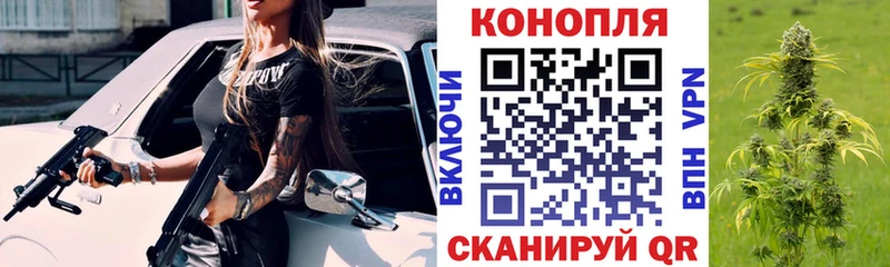Бошки Шишки ГИДРОПОН  Купить  Людиново 